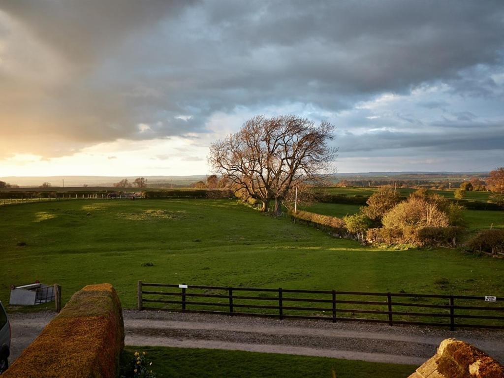 Lily Hill Farm Bed and Breakfast Barnard Castle Eksteriør billede