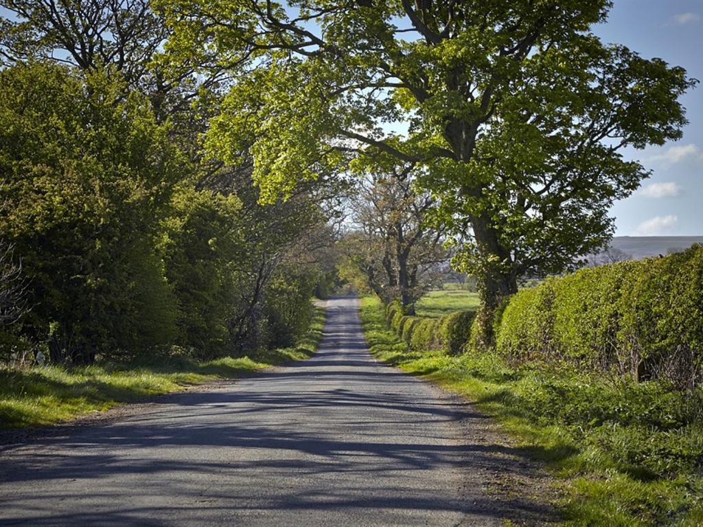 Lily Hill Farm Bed and Breakfast Barnard Castle Eksteriør billede