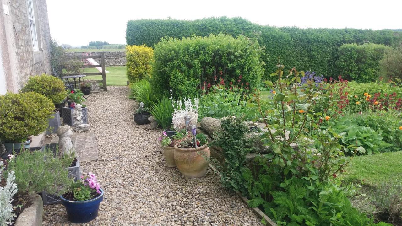 Lily Hill Farm Bed and Breakfast Barnard Castle Eksteriør billede