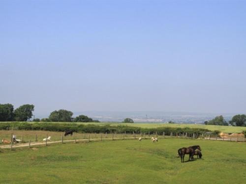 Lily Hill Farm Bed and Breakfast Barnard Castle Eksteriør billede